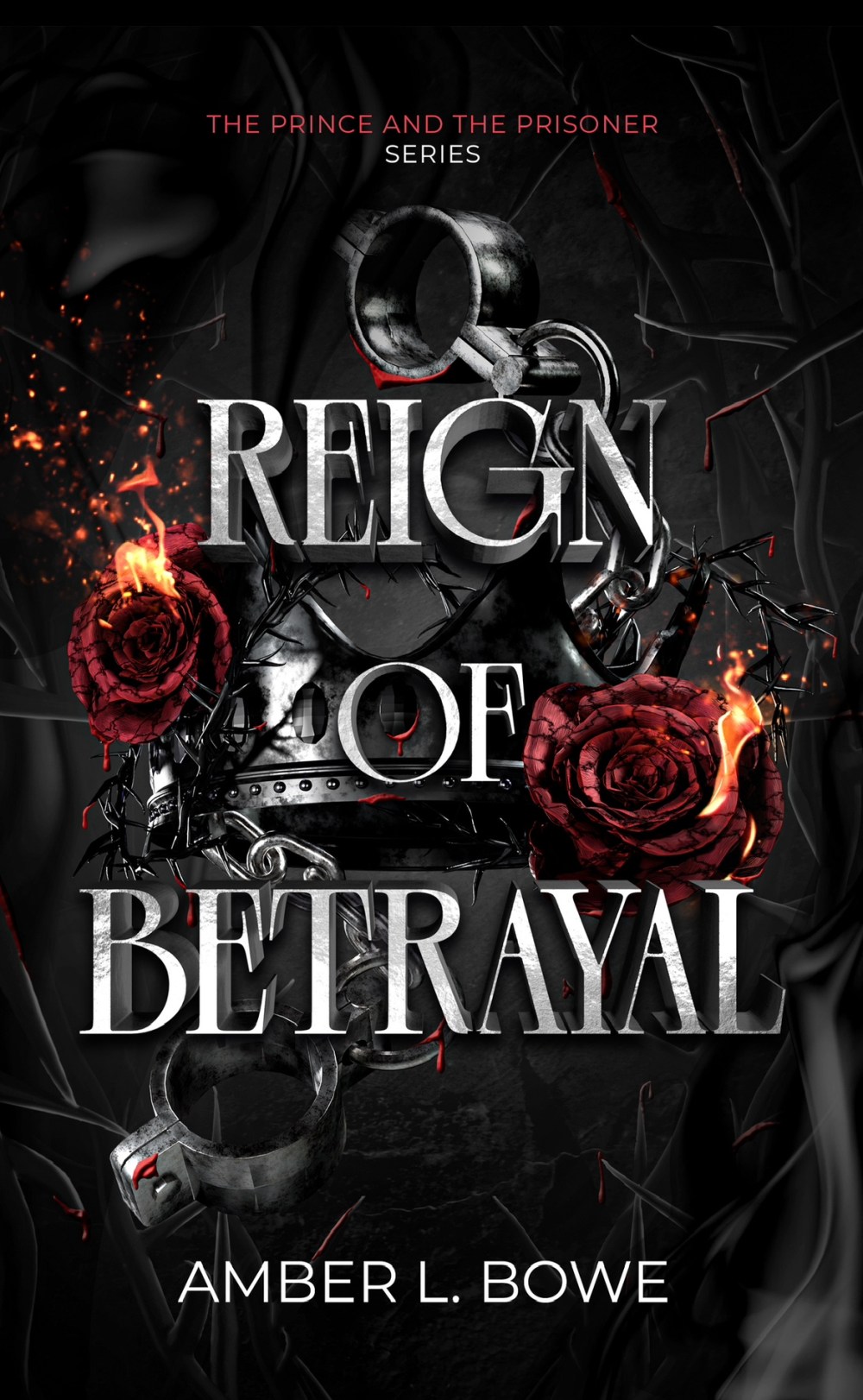 Reign of Betrayal: the Prince and the prisoner series