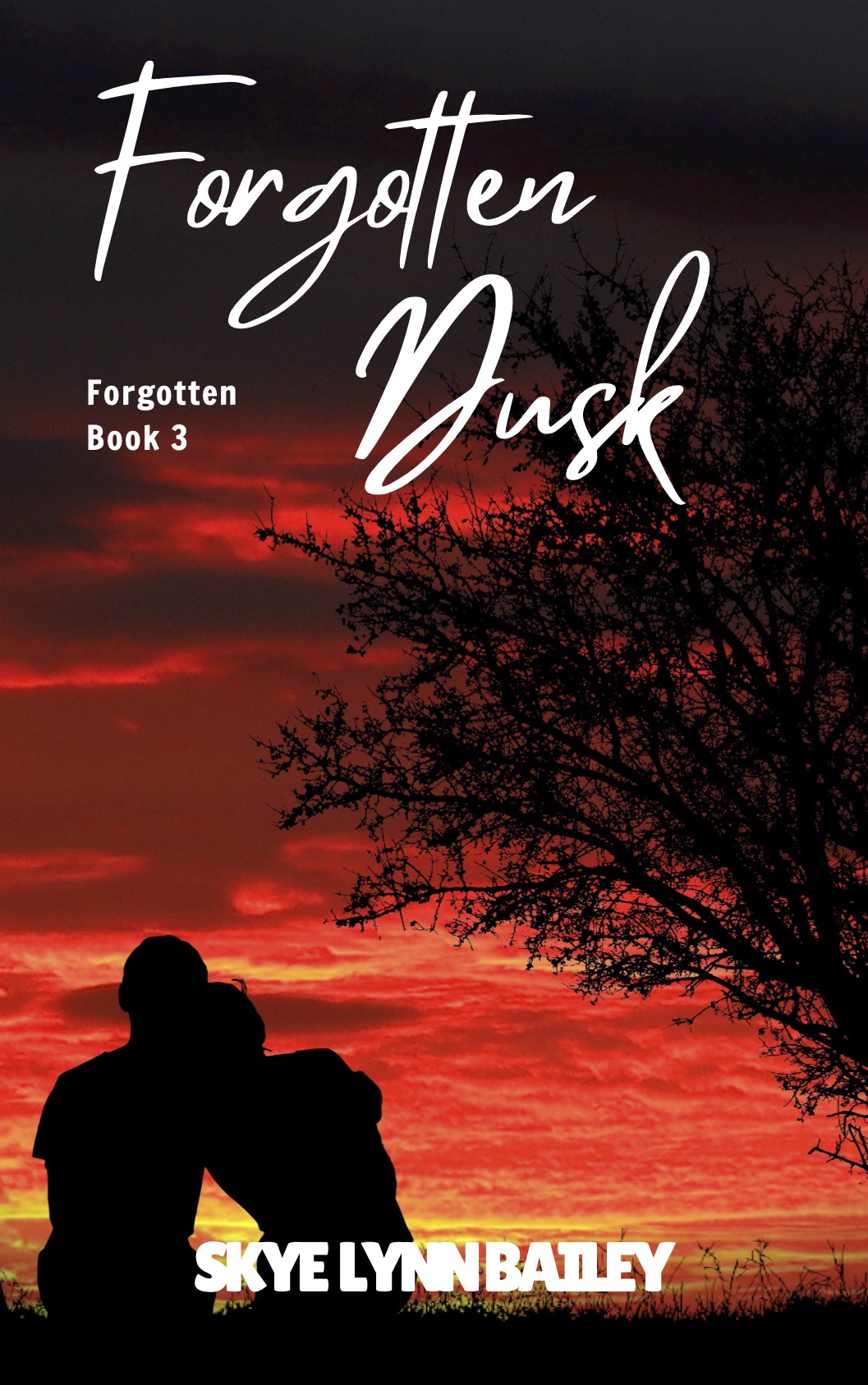 Forgotten Dusk Book Cover (3)